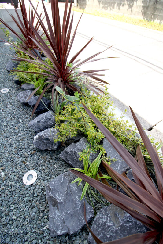 建物脇を美しく彩る植栽